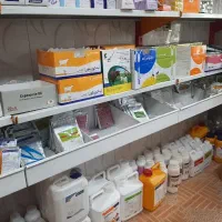 به یک کارگر آقای ساده جهت کار در مغازه نیازمندیم
