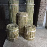 حصیر قامش|حراج|گنبد کاووس, |دیوار