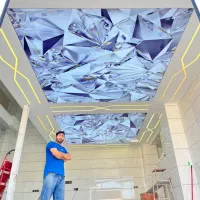 خدمات سقف‌کشسان-آسمان‌مجازی.کناف‌ولاین.لابل.استخر