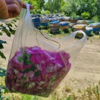 عسل بهاری ومحلی سبلان اردبیل