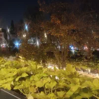 واگذاری امتیار وام قرض الحسنه