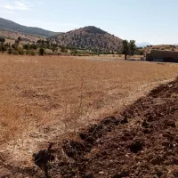 فروشی زمین خام|فروش زمین و ملک کلنگی|بانه, |دیوار