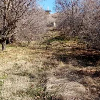 زمین  سر زیارت