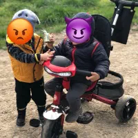 لوازم کودک|کالسکه و لوازم جانبی|بابل, |دیوار