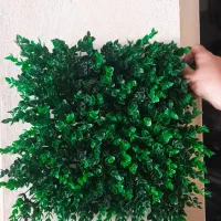 گرین وال در حد نو