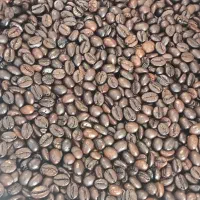 قهوه پارادایس