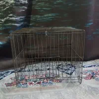 قفس پرنده|لوازم جانبی حیوانات|ملارد, |دیوار