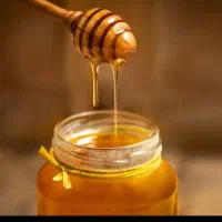 عسل طبیعی گشنیز|عمده‌فروشی|کرج, عظیمیه|دیوار