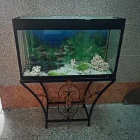 اکواریوم بزرگ تمیز و سالم