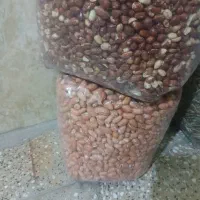 تازه وخوشمزه