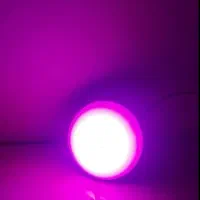 لامپ رشدگل وگیاه