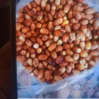 فروش. بذر یونجه باقله پیاز نخود فرنگی قصب حبوبات|خدمات باغبانی و درختکاری|داراب, |دیوار