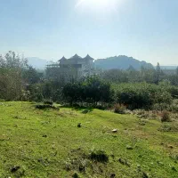 زمین الحاق به بافت ۱۳۸۷ متری  شیرگاه / پل شاهپور|فروش زمین و ملک کلنگی|شیرگاه, |دیوار