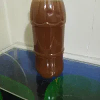 دافنی زنده و غذای رشد دافنی