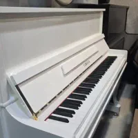 پیانو پرتابل p225 white|پیانو، کیبورد، آکاردئون|ارومیه, |دیوار