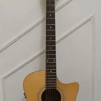 گیتار حرفه ای