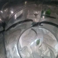 سبزی خوردکن ۴کیلو نو نو|خردکن، آسیاب، غذاساز|زیرکوه, |دیوار