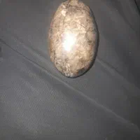 سنگ مرجان زیبا