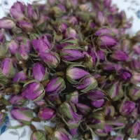 غنچه گل محمدی ارگانیک دست چین