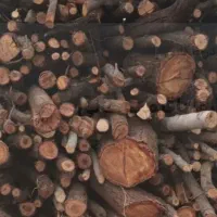 باسلام خرید انواع چوب باغی به بهترین قیمت|خدمات باغبانی و درختکاری|فلاورجان, |دیوار