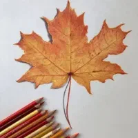 کمک انسان دوستانه و داوطلبانه