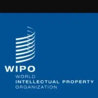 استخدام خانم معمار جهت ویزا استارآپ