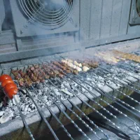 سینی اقتصادی جگر