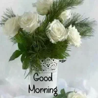 جذب نیروی اقا در کارگاه شیرینی فروشی