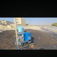 پوستکن گردو