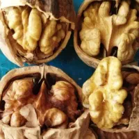 گردو و مغز گردو