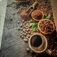 فرش اشپزخانه