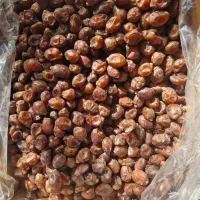 خرما خاصویی