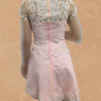 لباس مجلسی|لباس|زرین دشت (فارس), |دیوار