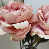 گل مصنوعی به همراه گلدون  گل کالباس و لیمویی|گل مصنوعی|تهران, نظام‌آباد|دیوار