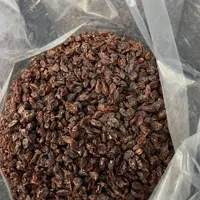 کشمش آفتابی درجه یک|خوردنی و آشامیدنی|ابهر, |دیوار