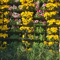 ختم قرآن برای اموات و نذرهای شما