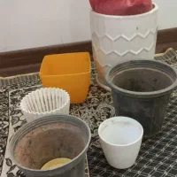 گلدونها250 سنگ رنگی ۲۵۰