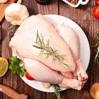 استخدام مرغ خردکن