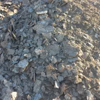 فضولات مرغ سالن|خدمات باغبانی و درختکاری|آبادان, |دیوار