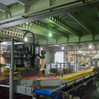 خانم وآقادرکارخانه غذایی آبا از کل اسلامشهر و حومه