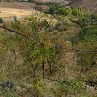 باغ-طاینه