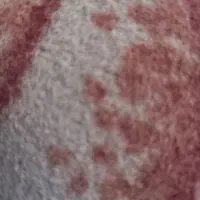 گمشده