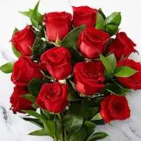 نیروی تخصصی در لاین مژه وناخن