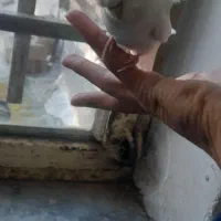 حراج|حراج|چناران, |دیوار