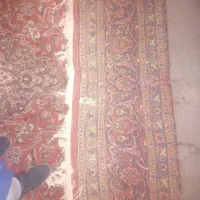 فرش 12متری دست باف|فرش|پاکدشت, پاکدشت (مامازند)|دیوار