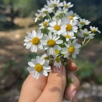 دنبال کار در منزل