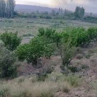 املاک