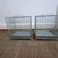 قفس صفایی غلامی
