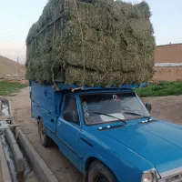 یونجه فروشی