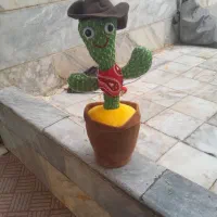 کاکتوس سخنگو گو